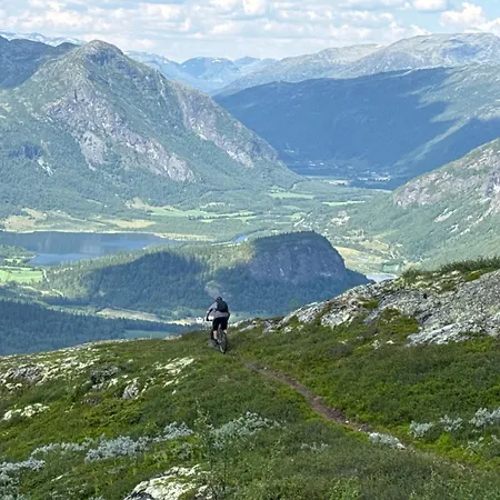 Nordre Fossheim Gard Utendors Vedfyrt Badstue Apartment Hemsedal