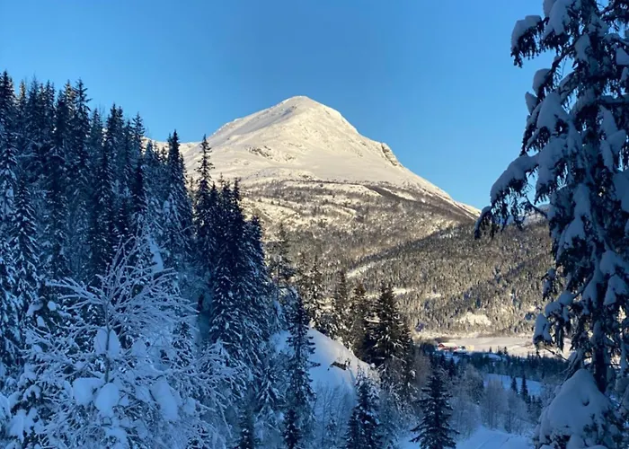 Apartment Nordre Fossheim Gård