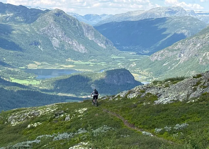 Nordre Fossheim Gard Utendors Vedfyrt Badstue Daire Hemsedal